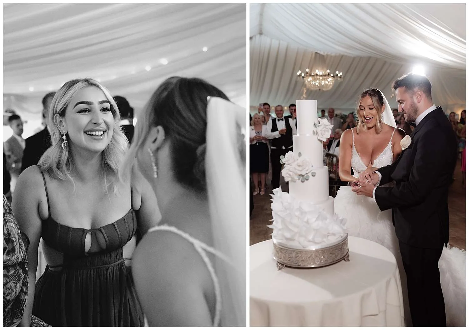 Hedingham Castle Wedding Photographer - the cutting of the cake
